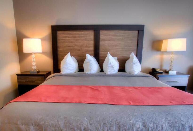Номер Стандарт с Террасой, The Beaucatcher – A Boutique Motel