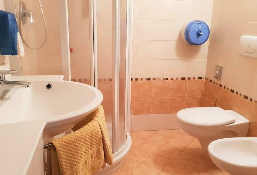 Номер Стандарт, Alpino Lodge Bivio