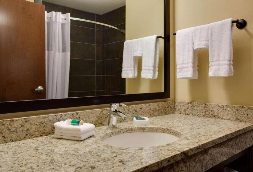 Люкс Superior, Drury Plaza Hotel Pittsburgh Downtown