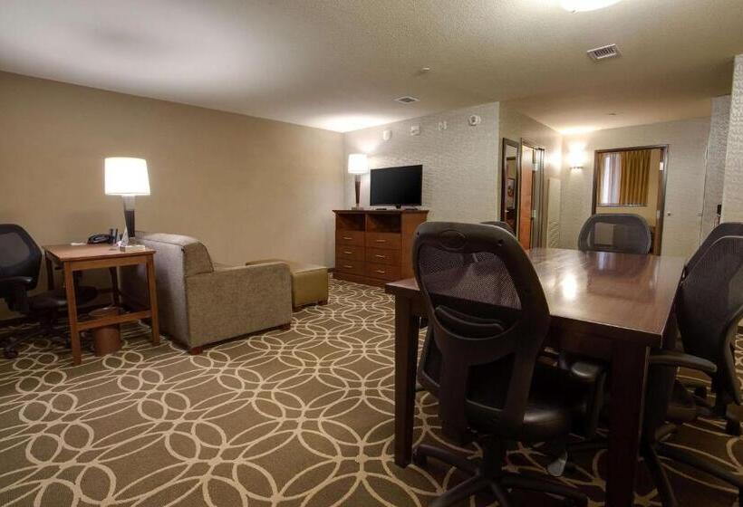 Люкс Адаптированный для Инвалидов, Drury Plaza Hotel Pittsburgh Downtown