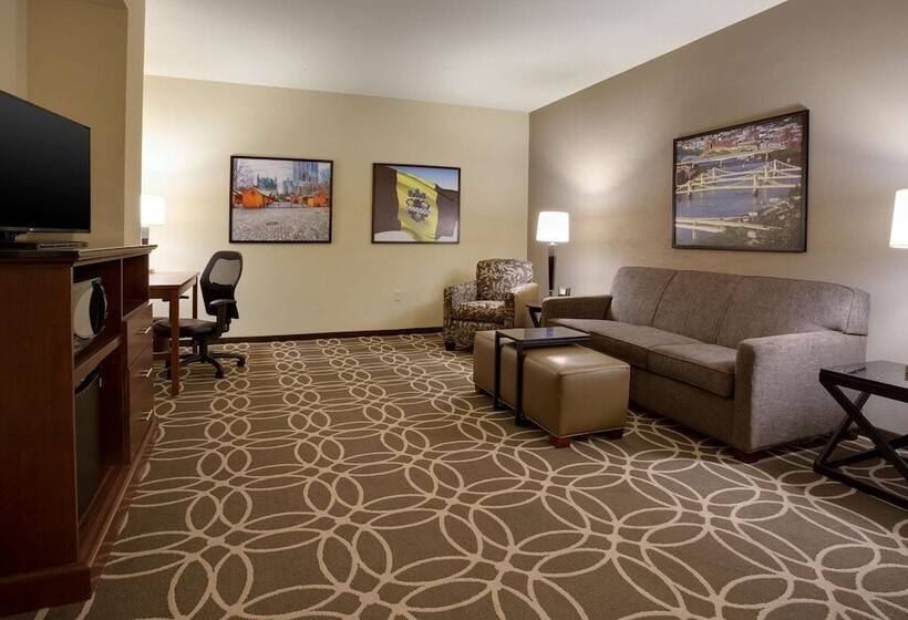 Люкс Адаптированный для Инвалидов, Drury Plaza Hotel Pittsburgh Downtown