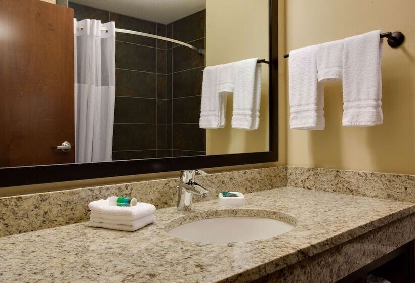 Номер Deluxe Адаптированный для Инвалидов, Drury Plaza Hotel Pittsburgh Downtown