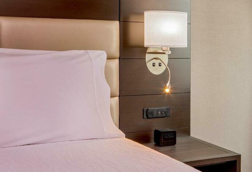 Camera Standard Letto King, Hilton Garden Inn Nyc Financial Center/manhattan Downtown