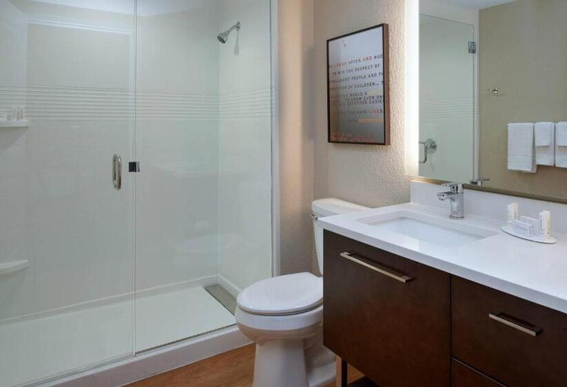 장애인을 위한 킹사이즈 침대 스탠다드 룸, Towneplace Suites By Marriott Richmond