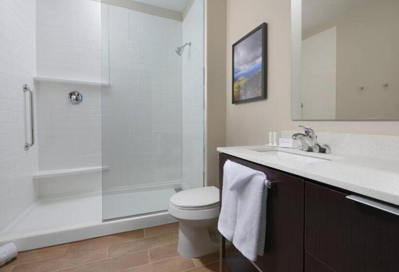 Standard Szoba, Towneplace Suites By Marriott Denver South/lone Tree