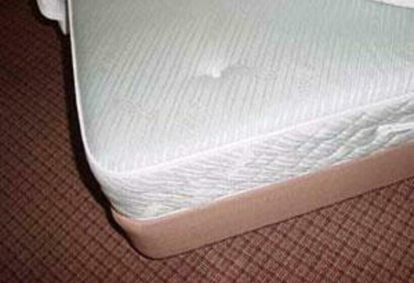 غرفة قياسية, Tsubame Hills