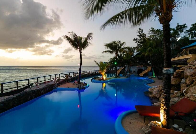 سوییت, Caribe Tesoro