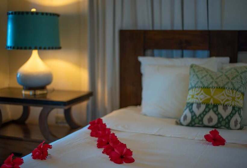 Suite Queen Bed, Caribe Tesoro