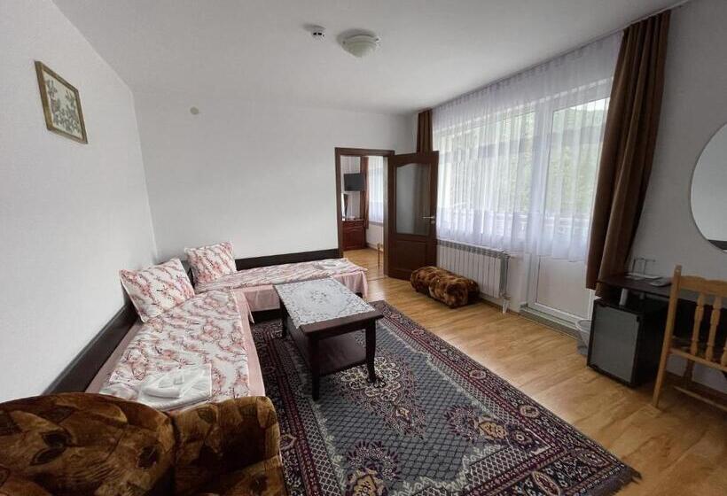 Апартаменты 1 Спальня с Террасой, Family Hotel Panorama