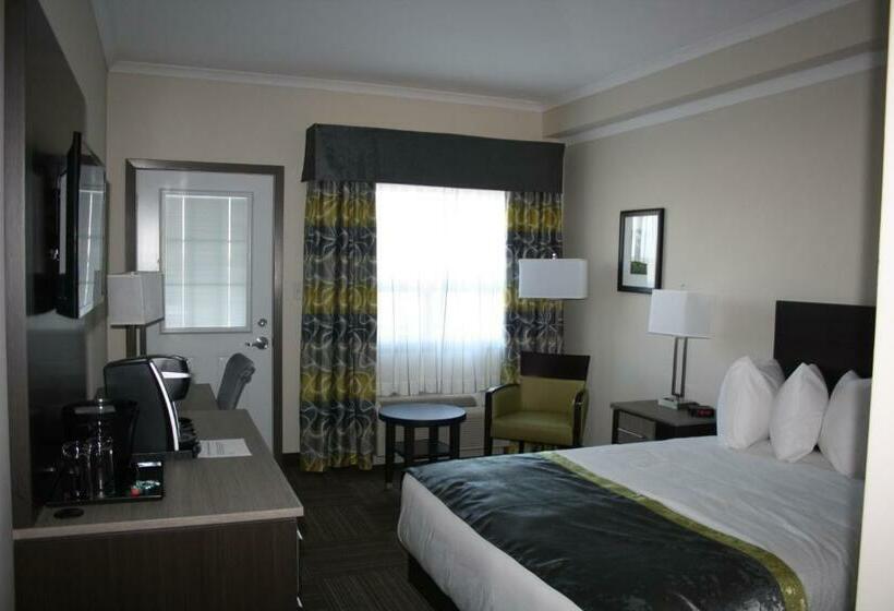 스탠다드 룸, Crossroads Inn & Suites