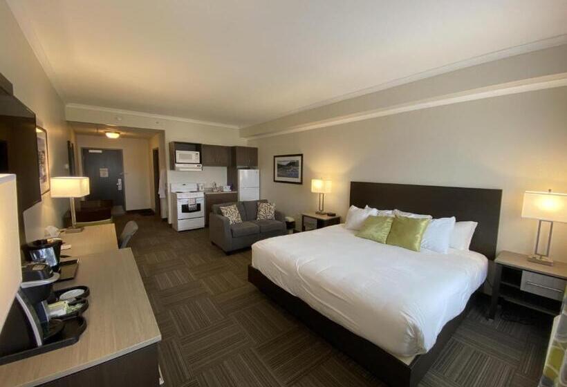 Полулюкс, Crossroads Inn & Suites