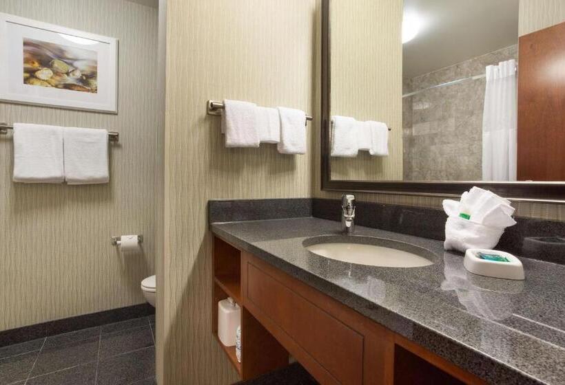 豪华房间, Drury Plaza Hotel Indianapolis Carmel