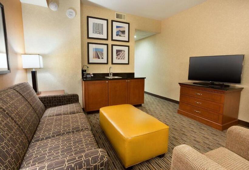 适合残疾人士使用的套间, Drury Plaza Hotel Indianapolis Carmel
