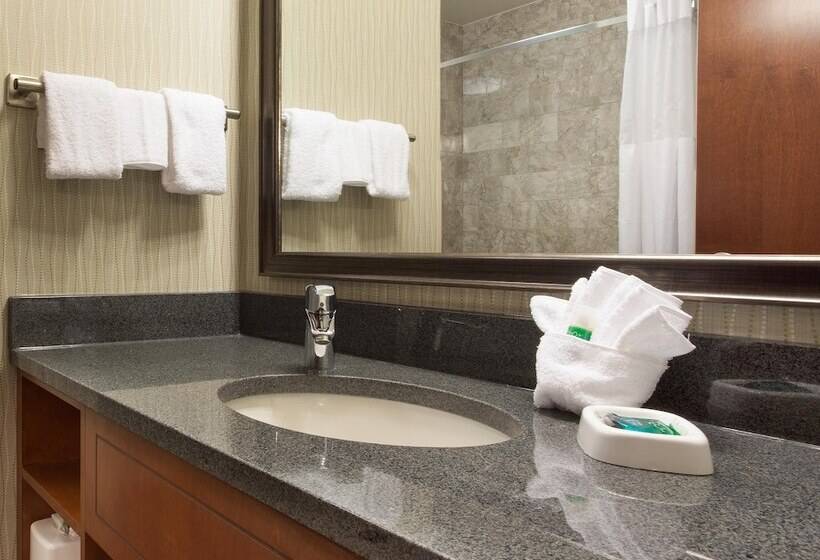 디럭스 룸, Drury Plaza Hotel Indianapolis Carmel