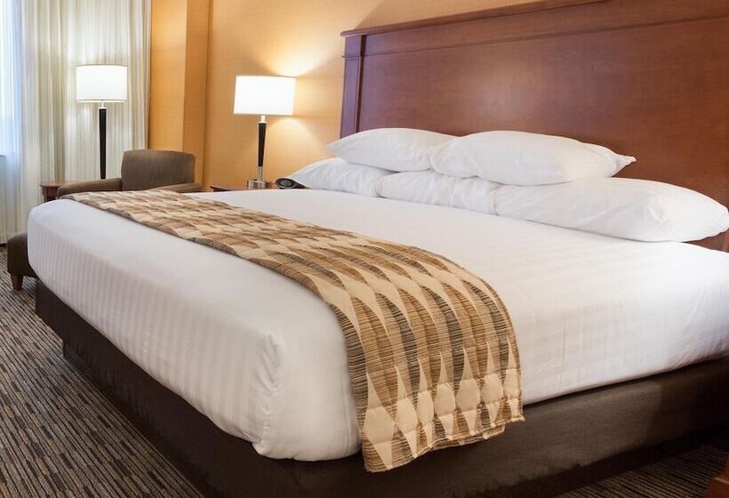 适合残疾人士使用的套间, Drury Plaza Hotel Indianapolis Carmel