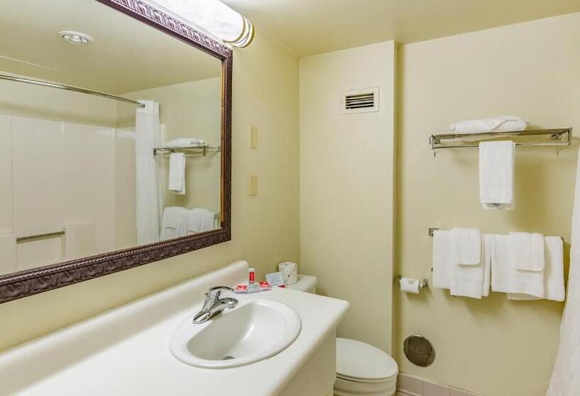 Номер Стандарт, Econo Lodge Inn & Suites Radfordblacksburg Area