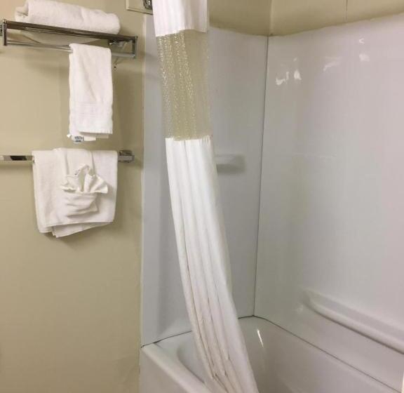 适合残疾人使用的标准间, Econo Lodge Inn & Suites Radfordblacksburg Area