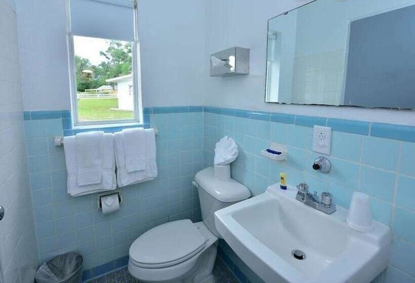 Номер Стандарт 2 Двуспальные Кровати, Sun Plaza Motel