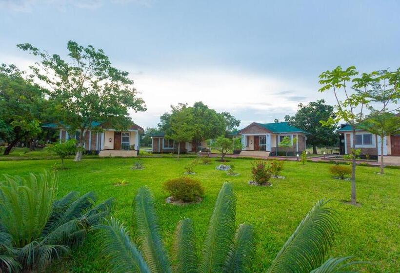Семейный Номер, Ngonga Beach Resort