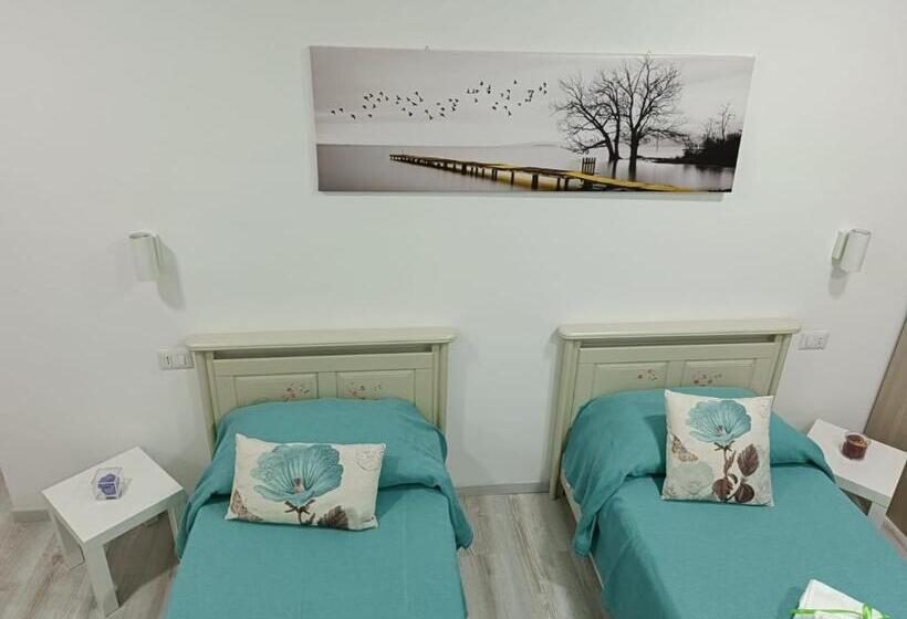 اتاق استاندارد, B&b Palmaviola