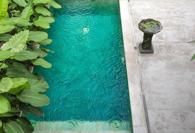 Семейный Номер Superior, Villa Iva Canggu Bali