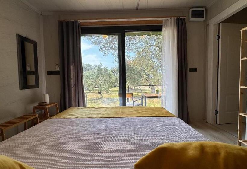Номер Стандарт, Cnr Kitehouse