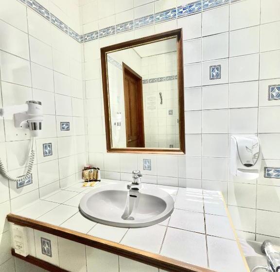 Номер Стандарт Вид на Горы, Hôtel Albert 1er