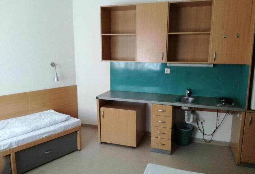 标准间, Springfield Private Hostel