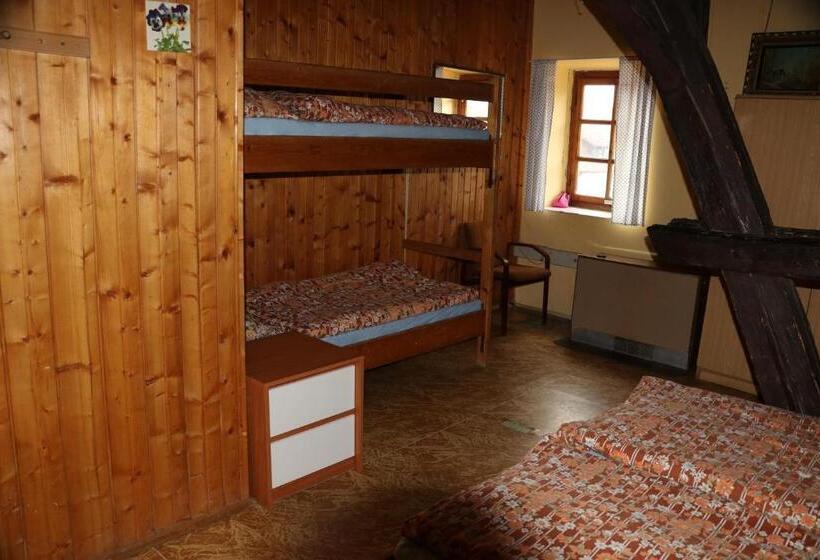 스탠다드 4인용 룸 공용 욕실, Tvrz Holešice Orlická Přehrada, Penzion