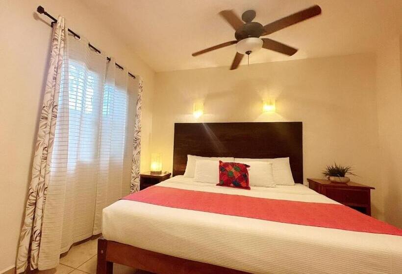 اتاق استاندارد با تخت بزرگ, El Roble