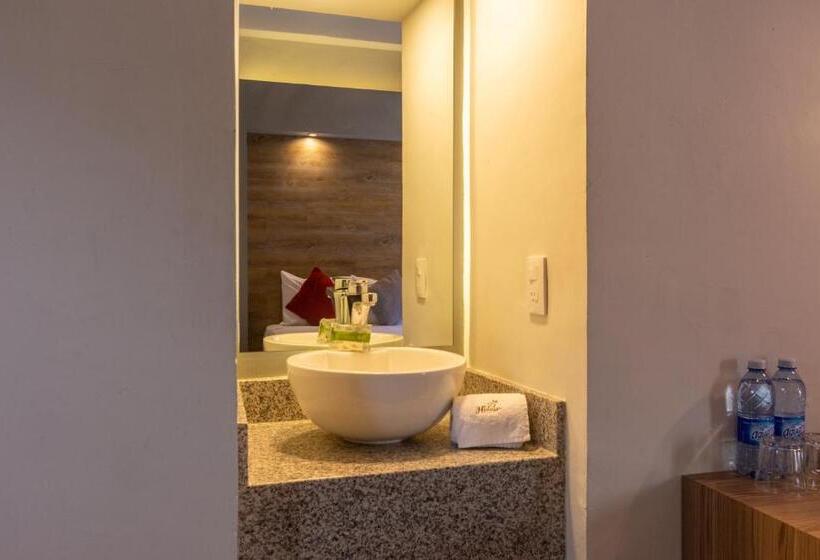 Quarto Estandar, Hidalgo