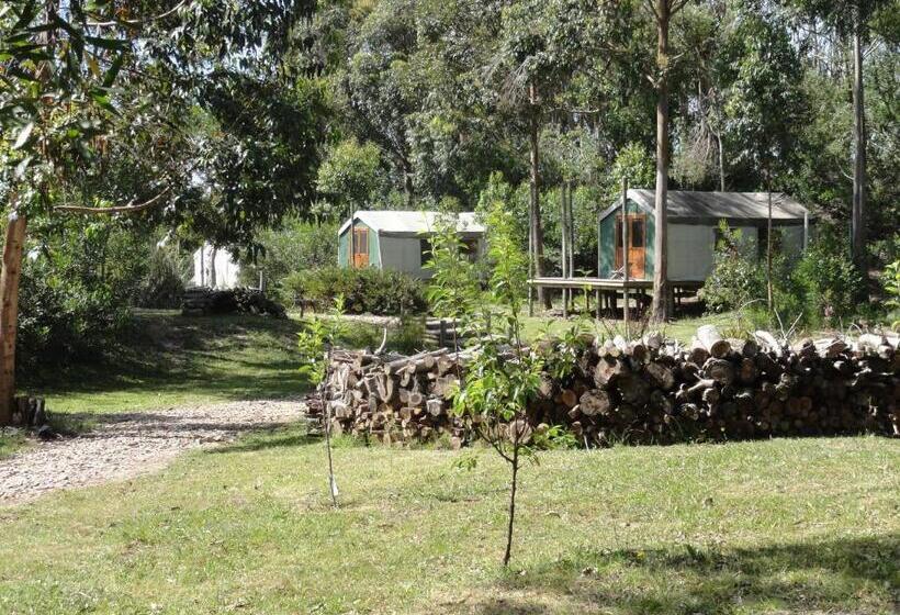 Standard Tent, Pueblo Barrancas