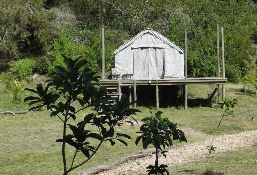 Standard Tent, Pueblo Barrancas