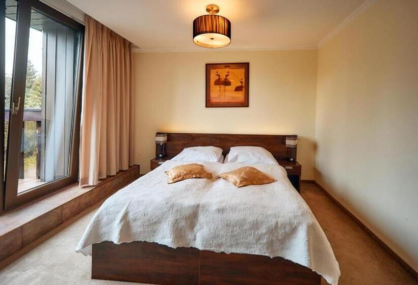 Номер Стандарт, President Hotel Montfort
