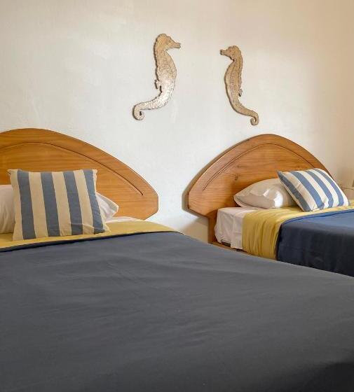 Номер Стандарт, Ravenala Paracas Hostel