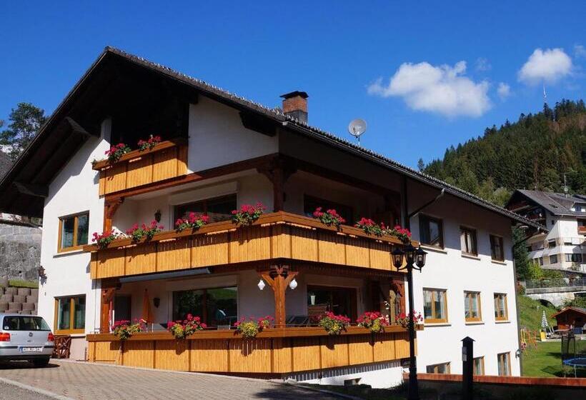 스탠다드 룸, Gästehaus Hanni