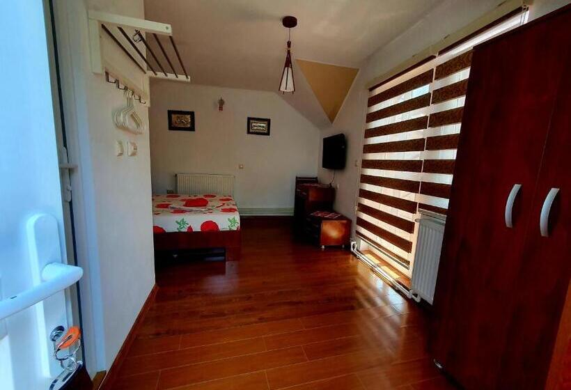 스탠다드 룸, Casa Viselor De Vară