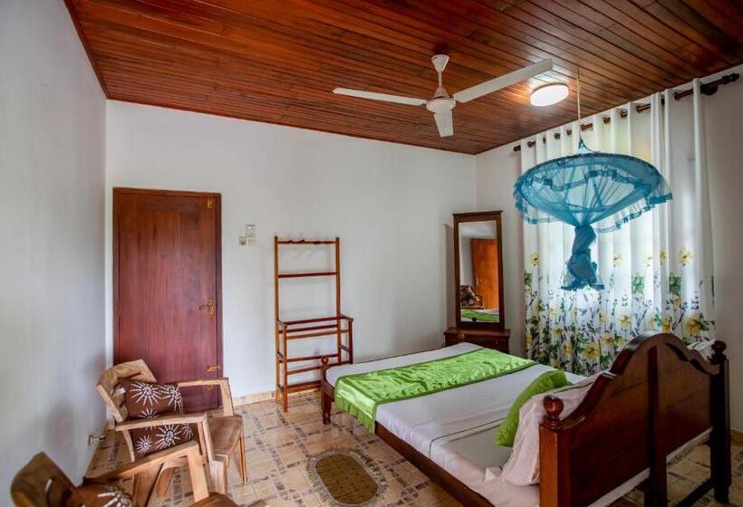 Quarto Estandar, Three Shades