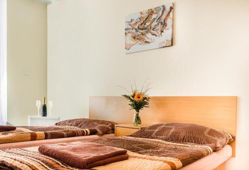 Quarto Estandar, Zannam