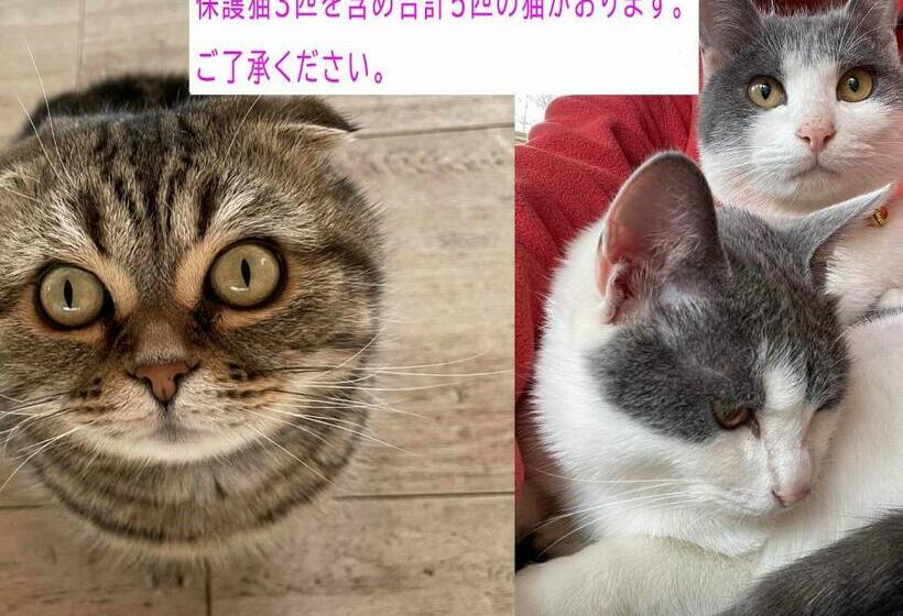 디럭스 룸, Asama Kogen