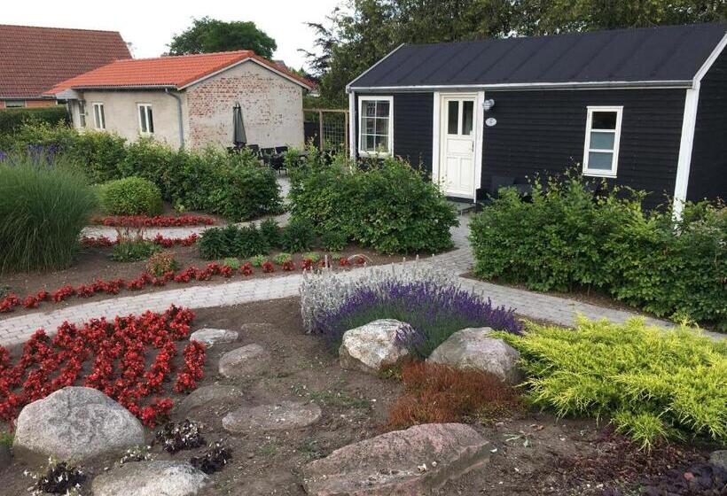 Студия Стандарт, Birkende Bed And Breakfast