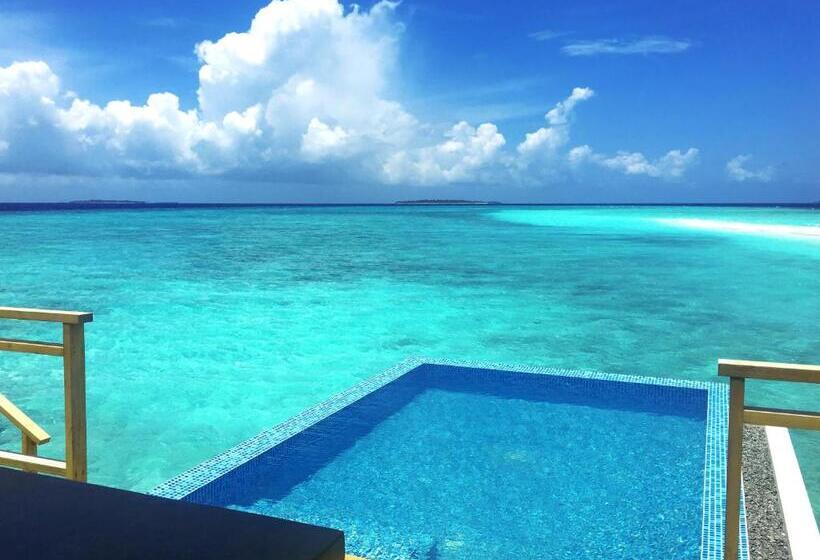 ویلای یک اتاق خوابه با استخر شنا, Dhigali Maldives   A Premium All Inclusive Resort
