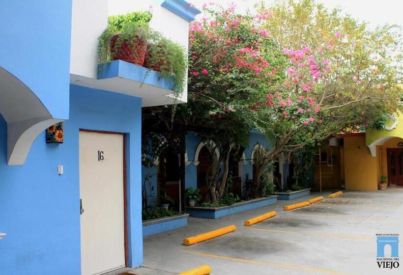 スタンダードトリプルルーム, Hacienda Del Viejo