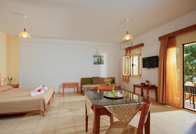 Студия Стандарт, Fotis Studios Apartments