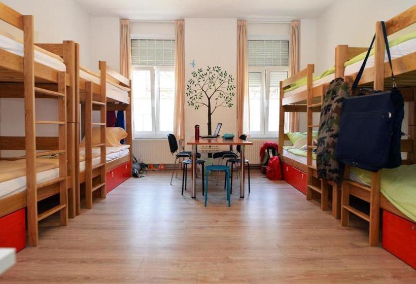 تختخواب در اتاق مشترک, Hostel Temza