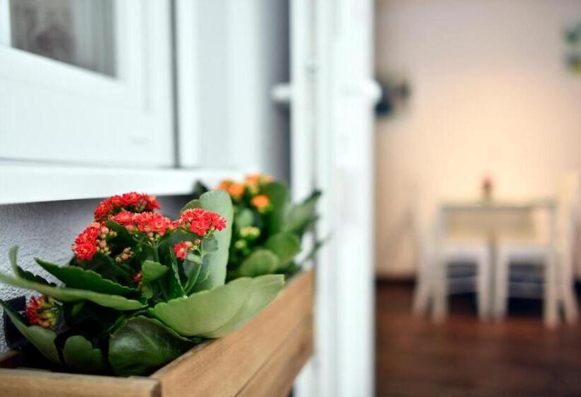 استودیوی لوکس, Hostel Temza