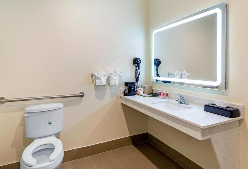 سوئیت با تخت بزرگ, Econo Lodge Inn & Suites Houston Willowbrook