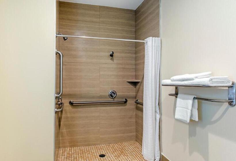 اتاق خانوادگی, Econo Lodge Inn & Suites Houston Willowbrook