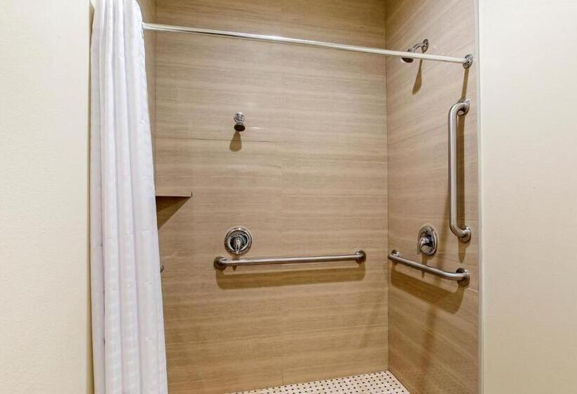 اتاق لوکس خانوادگی, Econo Lodge Inn & Suites Houston Willowbrook