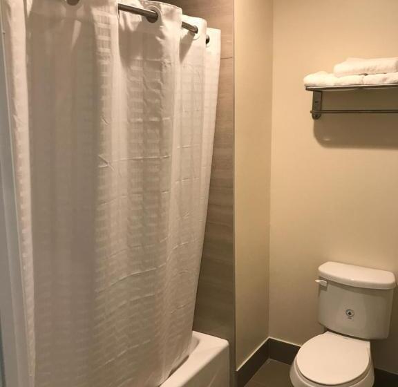 سوئیت با تخت بزرگ, Econo Lodge Inn & Suites Houston Willowbrook